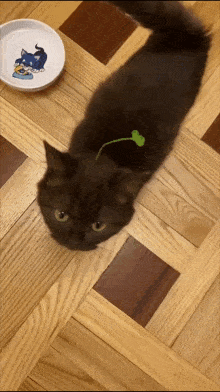 a cat laying on a wooden floor next to a white bowl with a picture of a cat on it