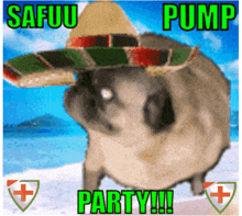 a pug wearing a sombrero and the words safuu pump party