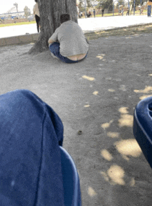 a man sits under a tree in a park