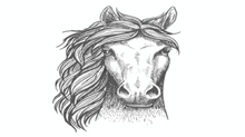 a black and white drawing of a horse 's head with a long mane on a white background .