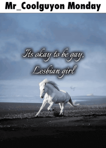a picture of a white horse with the caption " it 's okay to be gay "