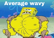 a cartoon of spongebob with the words " average wavy " on the bottom