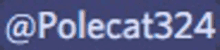 a blurred image of the word polecat324