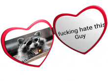 a heart shaped mirror with a picture of a raccoon and the words fucking hate this guy on it