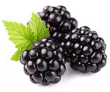 a couple of blackberries with a green leaf on a white background