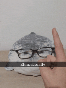 a stuffed seal with glasses and the words ehm actually on it