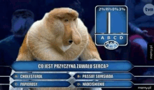 a monkey with a big nose is playing a game on a tv show .