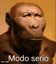 a picture of a monkey with the words modo serio written on it