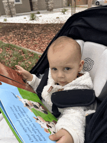 a baby in a stroller is reading a book