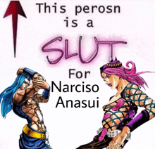 a poster that says " this perosn is a slut for narciso anasai "