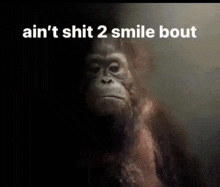 a picture of a gorilla with the words " ain 't shit 2 smile bout " below it