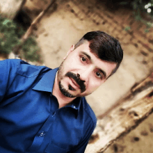 a man in a blue shirt with a beard looks at the camera