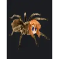 a picture of a spider with a girl 's head on it