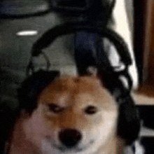 a shiba inu dog wearing headphones is sitting in a room .