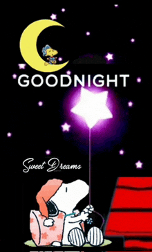 a snoopy poster that says goodnight sweet dreams on it