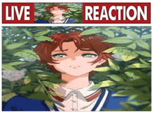 a poster with a picture of a boy and the words `` live reaction '' underneath it .