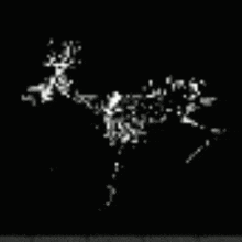 a black and white image of a deer on a black background