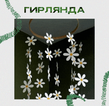 a picture of white daisies hanging from a ceiling with a green border and the word girlandda