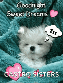 a puppy is sleeping under a blanket with the words goodnight sweet dreams castro sisters below it