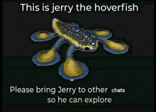 a picture of a hoverfish with a caption that says this is jerry the hoverfish