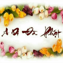 a bunch of flowers are surrounding a white background with chinese writing on it .