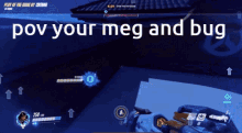 a screenshot of a video game with the words pov your meg and bug