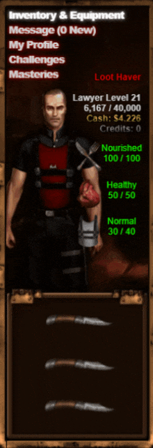 a screenshot of a video game shows the inventory and equipment