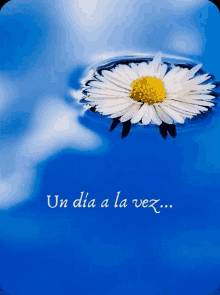 a blue background with a flower and the words " un dia a la vez " below it