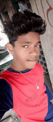 a young man wearing a red and blue shirt is taking a selfie with his phone .