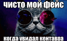 a cat wearing a pair of sunglasses with a foreign language caption