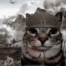 a cat wearing a military helmet is standing in front of a battle scene .