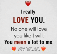 a quote that says i really love you no one will love you like i will you mean a lot to me