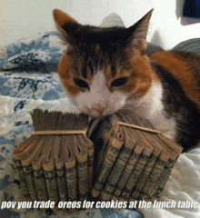 a cat is laying on a bed next to a stack of money