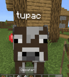 a cow is standing in front of a sign that says tupac on it