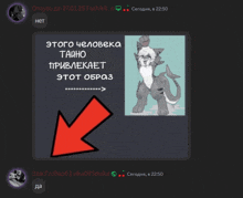 a screenshot of a russian chat with a picture of a cat