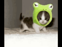 a small kitten wearing a green frog hat is sitting on a bed .