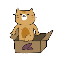 a cat is sitting in a cardboard box with potatoes on the side