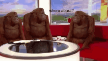 three orangutans are sitting on a red couch in front of a table with the words where abara written on the bottom