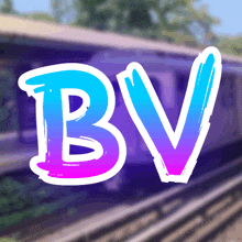 a blue and purple logo that says bv