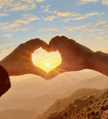 a couple making a heart shape with their hands in front of the sun