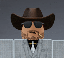 a man with a beard wearing a cowboy hat and sunglasses