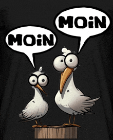 two seagulls are standing next to each other with speech bubbles that say " moin "