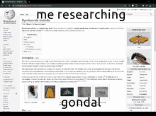 a computer screen with the words me researching gondal on it