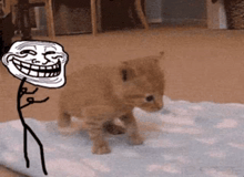 a troll face is next to a kitten on a blanket