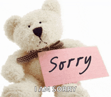 a teddy bear is holding a note that says sorry