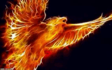 a phoenix is flying through the air with its wings outstretched on a black background .