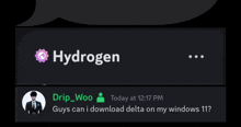 a message from drip_woo asking if guys can download delta on their windows