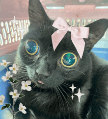 a black cat with blue eyes and a pink bow on its head