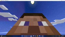 a screenshot of a minecraft game on a computer