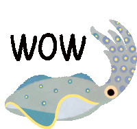 a drawing of an squid with the word wow written below it